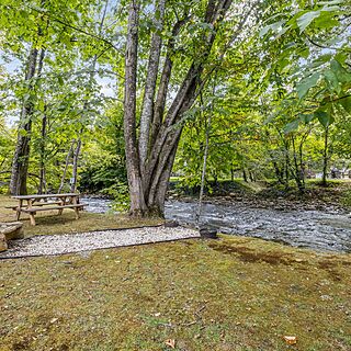 Peppertree Maggie Valley — Grounds