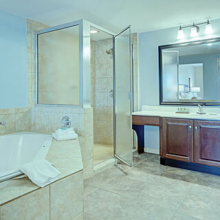 Club Wyndham Old Town Alexandria &mdash; Sample Bathroom