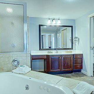 Club Wyndham Old Town Alexandria &mdash; Sample Bathroom