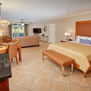 Divi Village Golf and Beach Resort &mdash; Sample studio golf suite