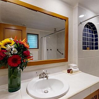 Park Royal Homestay Los Tules Puerto Vallarta — Sample Bathroom