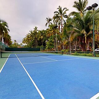 Park Royal Homestay Los Tules Puerto Vallarta — Tennis Court