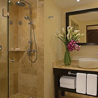 Dreams Los Cabos Suites Golf & Spa Resort — Sample Bathroom