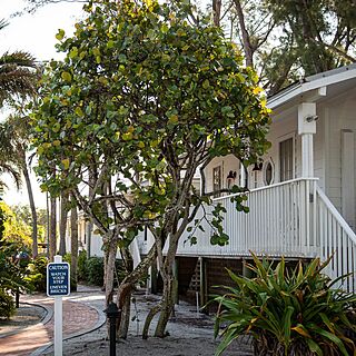 Little Gull Cottages — Exterior
