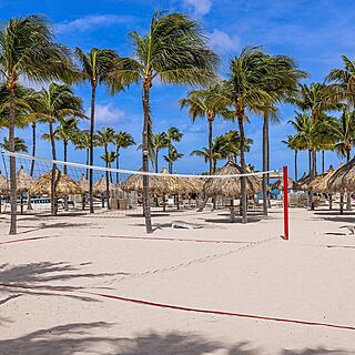 Marriott's Aruba Surf Club — Beach Volleyball Court