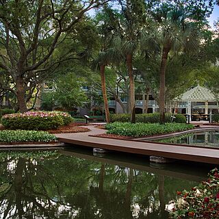Marriott's Grande Ocean — Pond With Gazebo Picnic Area