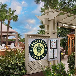 Marriott's Grande Ocean — Loggerhead Landing Bar and Restaurant