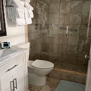Bathroom - generous shower but otherwise dinky but functional
