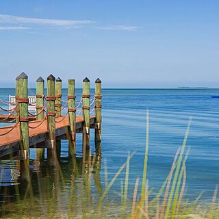 Dock