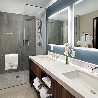The Westin Los Cabos Resort Villas & Spa — Sample Bathroom