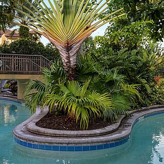 Club Wyndham Bonnet Creek Resort — Accessible Lazy River