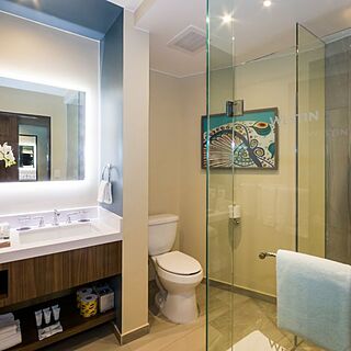 The Westin Los Cabos Resort Villas & Spa — Sample Bathroom