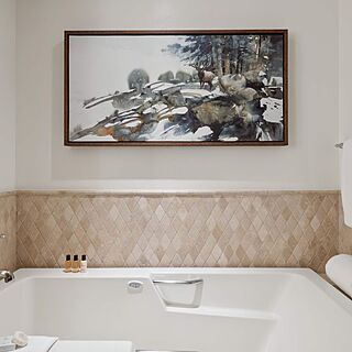 Hyatt Residence Club at Park Hyatt Beaver Creek — Sample Bathroom
