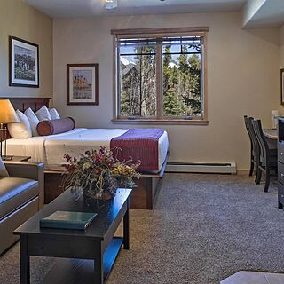 Grand Timber Lodge — Sample Studio Unit