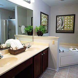 Vacation Village at Williamsburg — Sample Bathroom