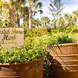 Marriott's Crystal Shores — Herb Garden