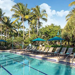 Hyatt Vacation Club At Coconut Cove &mdash; Pool With Loungers and Umbrellas