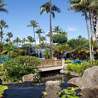 Marriott's Maui Ocean Club - Molokai, Maui & Lanai Towers — Koi Pond Near Grilling Area