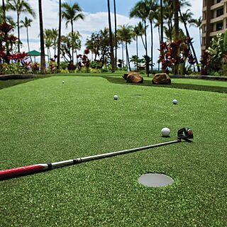 Marriott's Maui Ocean Club - Lahaina Tower — Minigolf