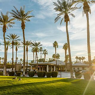 Marriott's Desert Springs Villas II — Entrance