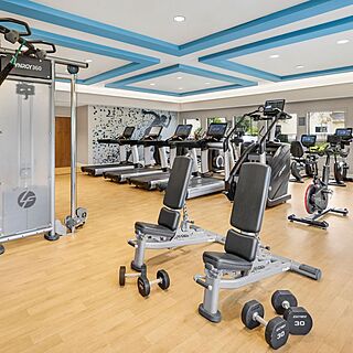 Sheraton Vistana Resort — Fitness Center