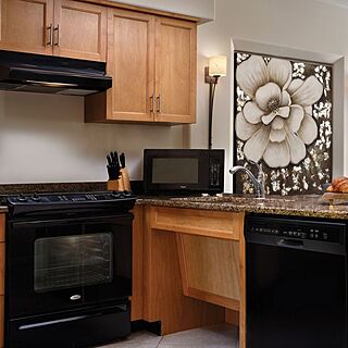 Sheraton Desert Oasis — Sample Accessible Unit Kitchen