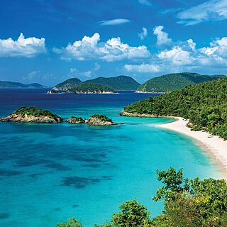 The Westin St. John - Coral Vista Villas — Beach