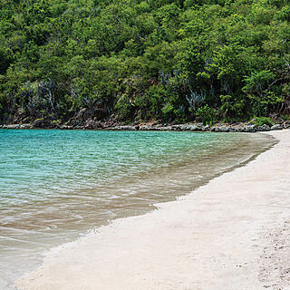 The Westin St. John - Coral Vista Villas — Beach