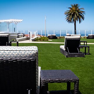 Carlsbad Inn Beach Resort — Sunbathing Lawn