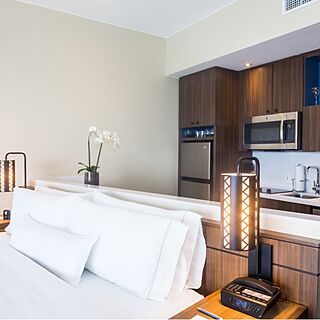 The Westin Los Cabos Resort Villas & Spa — Sample Studio Unit