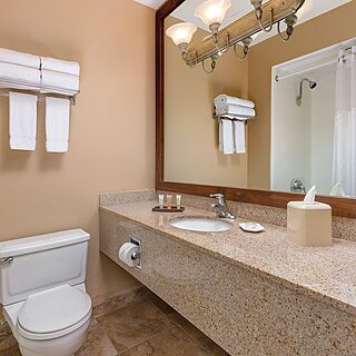 WorldMark Palm Springs - Plaza Resort and Spa — Sample Bathroom