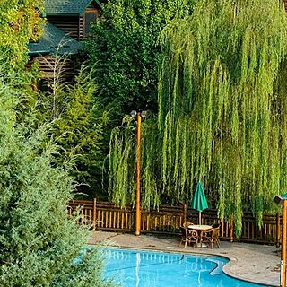 Westgate Smoky Mountain Resort & Water Park — Outdoor Pool Area