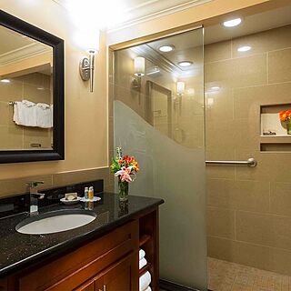 Divi Village Golf and Beach Resort &mdash; Sample studio bathroom