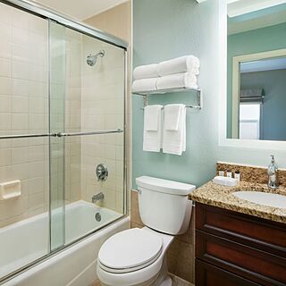 Sheraton Vistana Resort — Sample bathroom