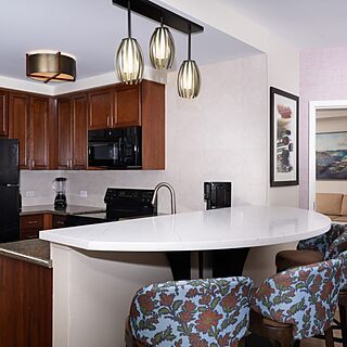 Tahiti Village — Sample kitchen