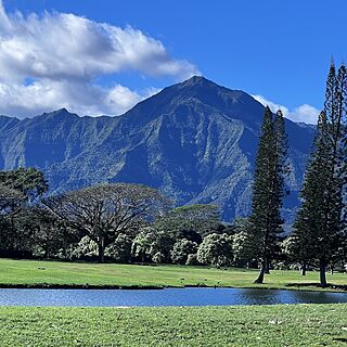 Mountains view