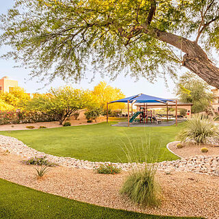 Hilton Vacation Club Scottsdale Links Resort &mdash; Resort grounds
