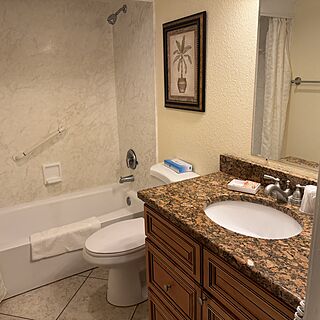 Guest bathroom