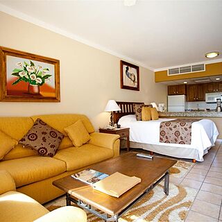 Villa del Palmar Cabo San Lucas — Sample junior suite