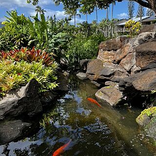 one of the ponds on site