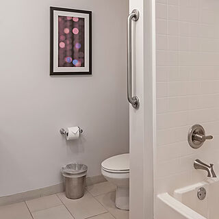 WorldMark Anaheim &mdash; Sample bathroom