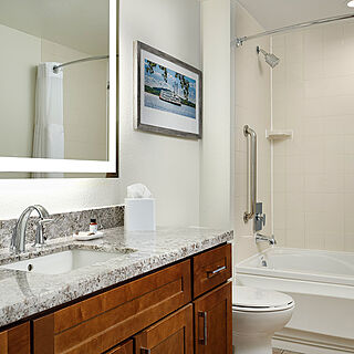 Marriott's Willow Ridge Lodge &mdash; Sample bathroom