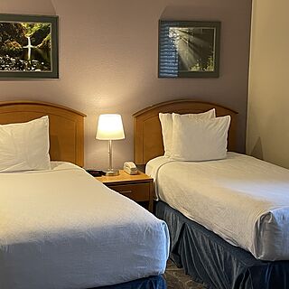 Twin Beds/can make into 2nd King