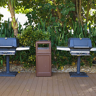 BBQ