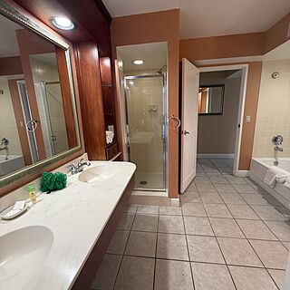 Master bathroom