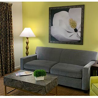 Living room with sofa sleeper