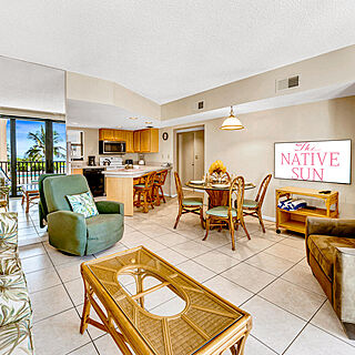 The Native Sun — Sample living room
