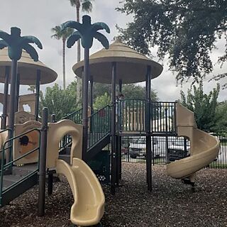 swimming pool with a slide