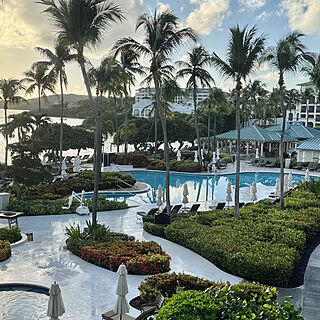 The Ritz-Carlton Club, St. Thomas — Pool and grounds