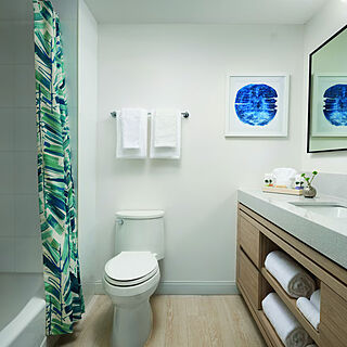 Hyatt Hacienda Del Mar — Sample bathroom